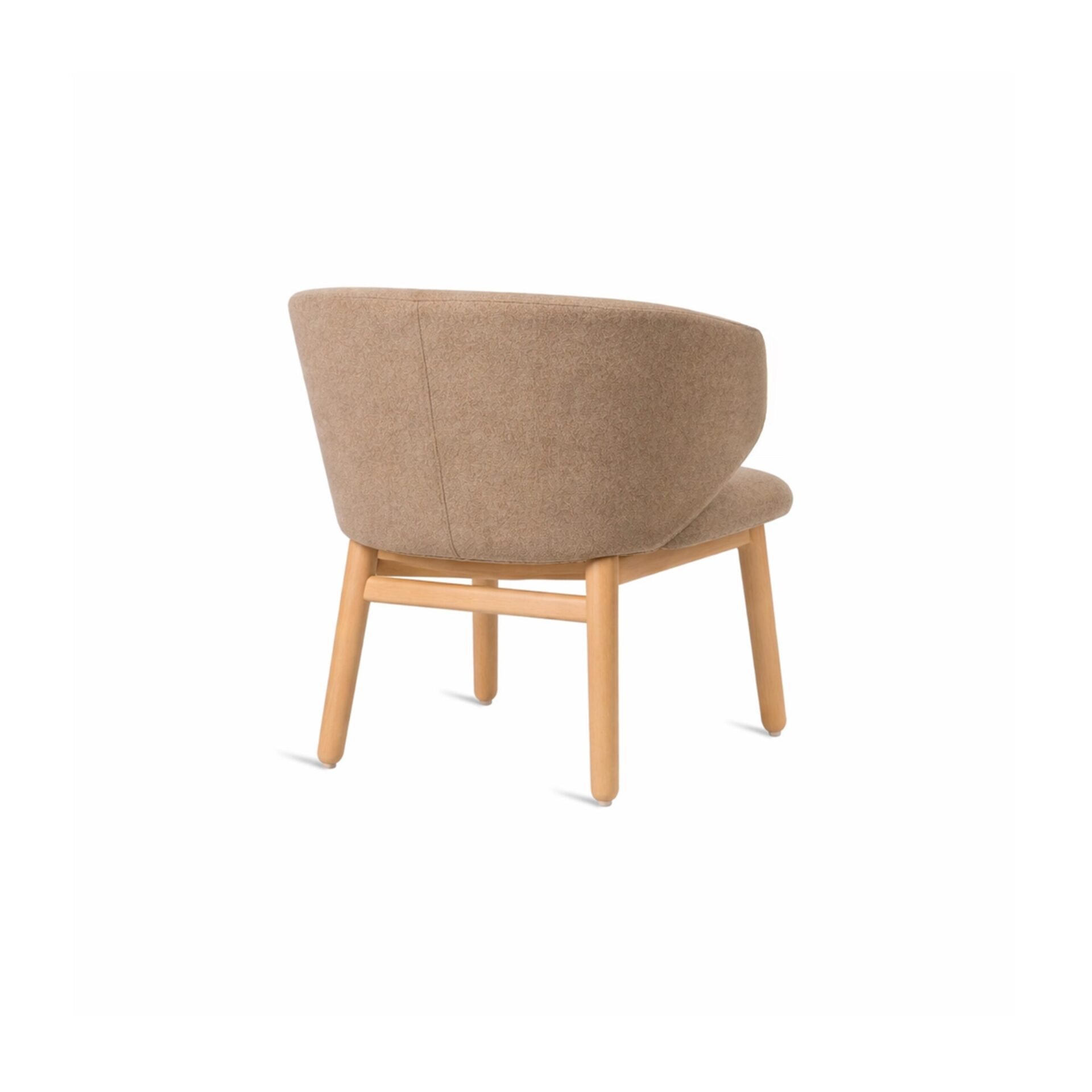 Aster Lounge Chair