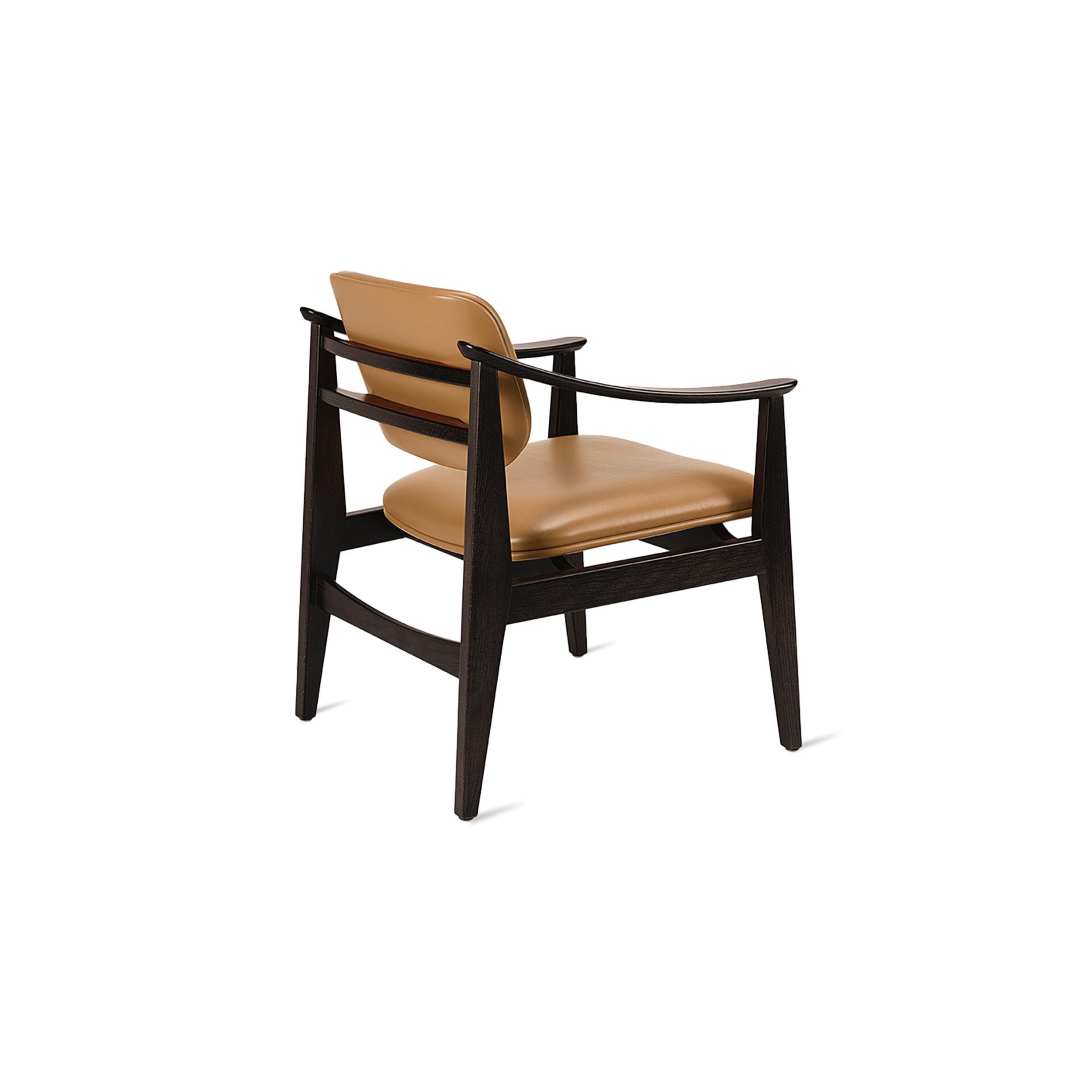 Ari Lounge Chair