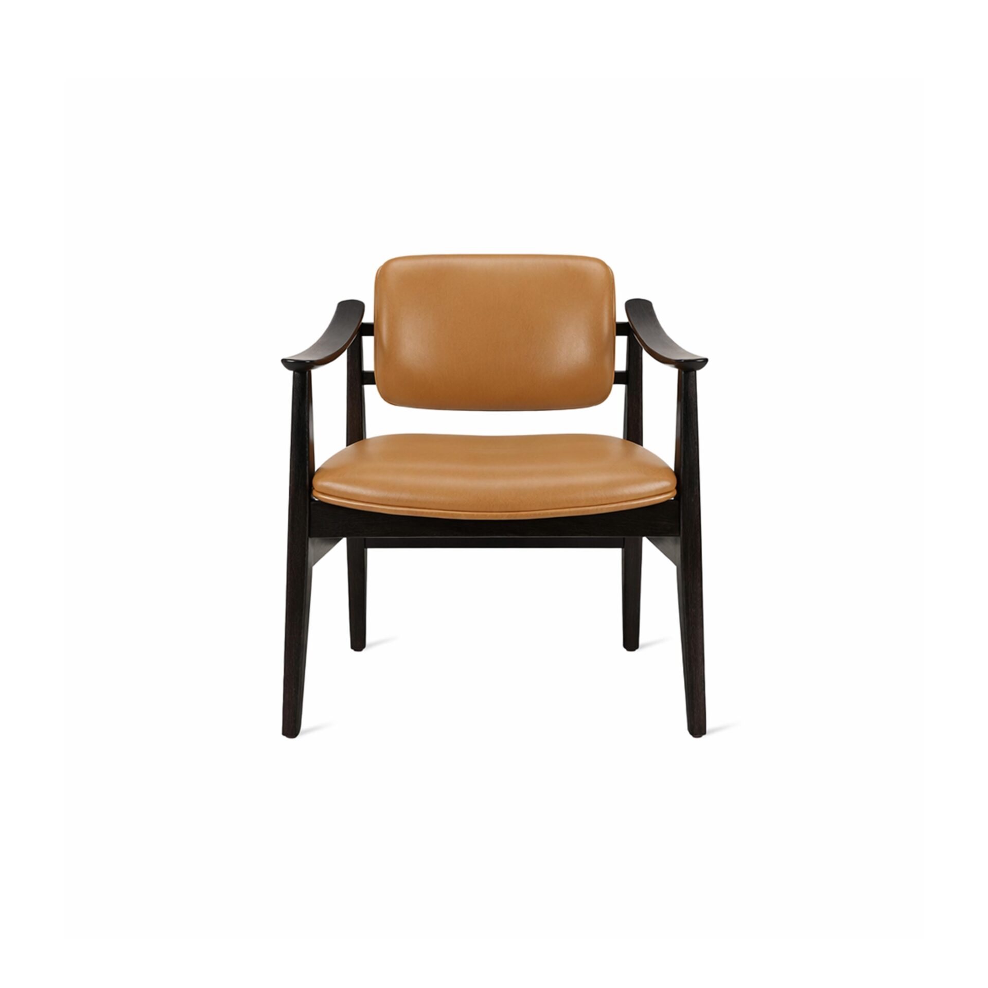 Ari Lounge Chair