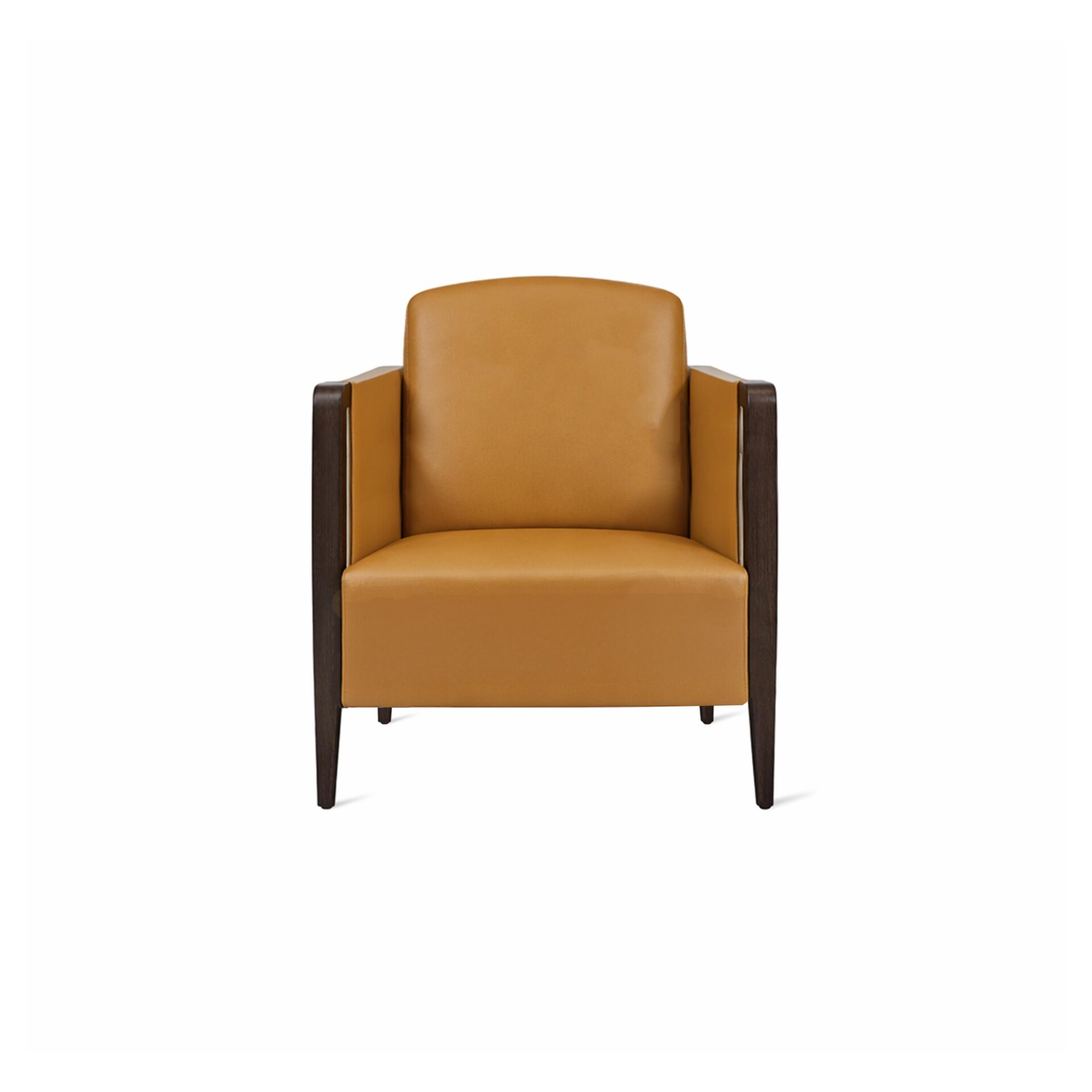 Ersel Lounge Chair