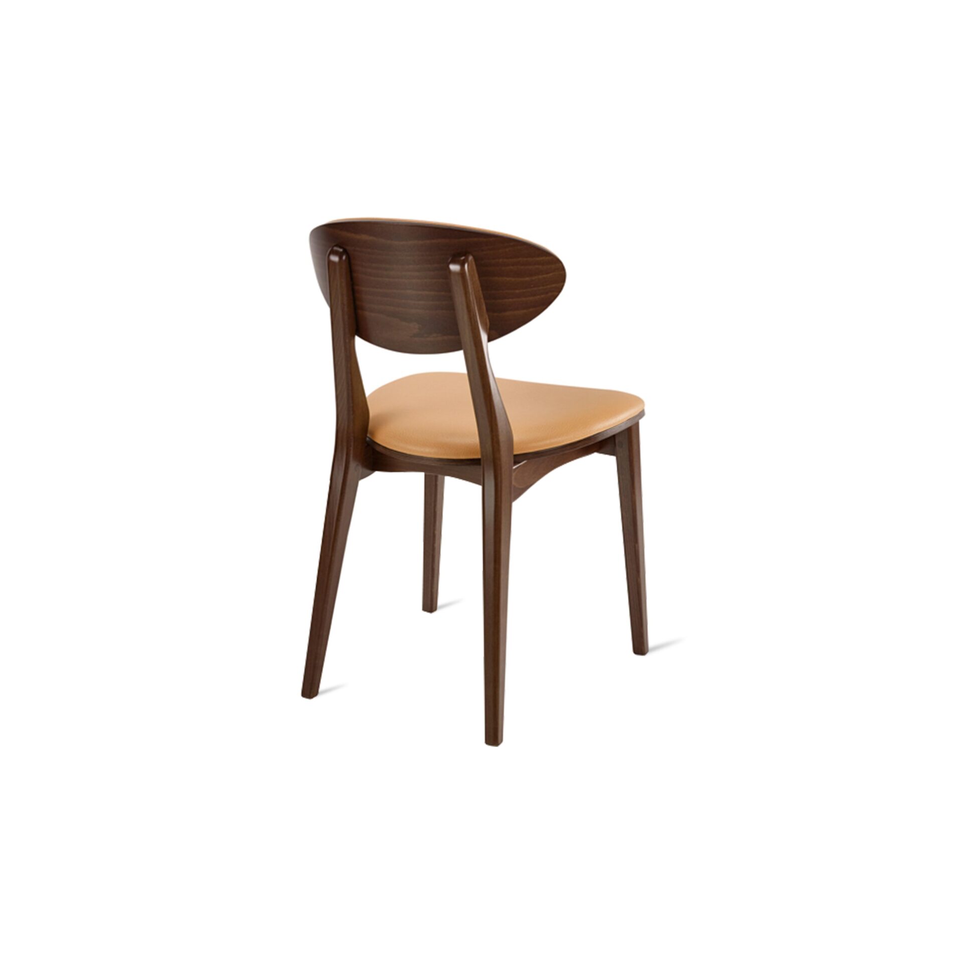 Danielle Side Chair (UPHOLSTERED FRONT / Wood Back)