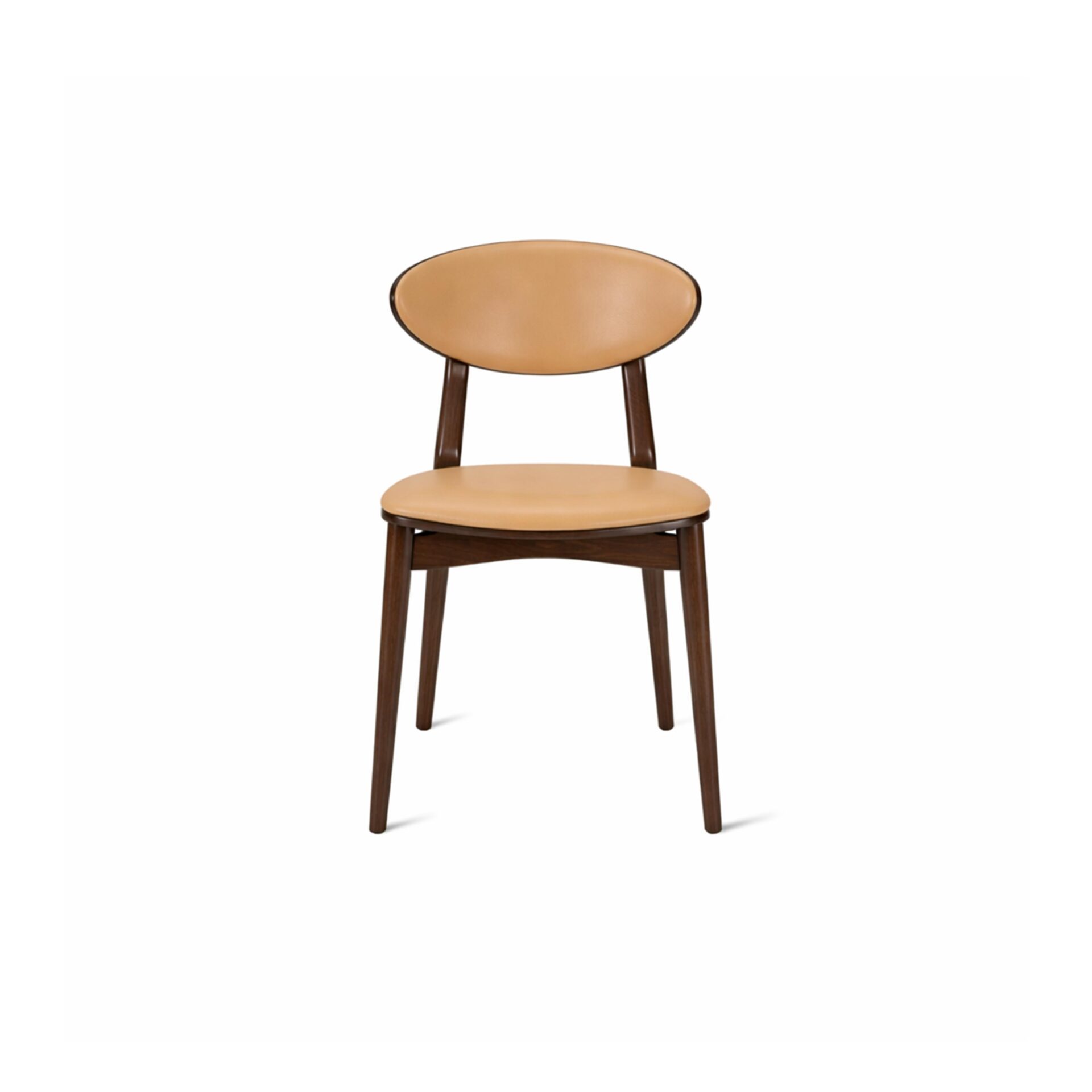 Danielle Side Chair (UPHOLSTERED FRONT / Wood Back)