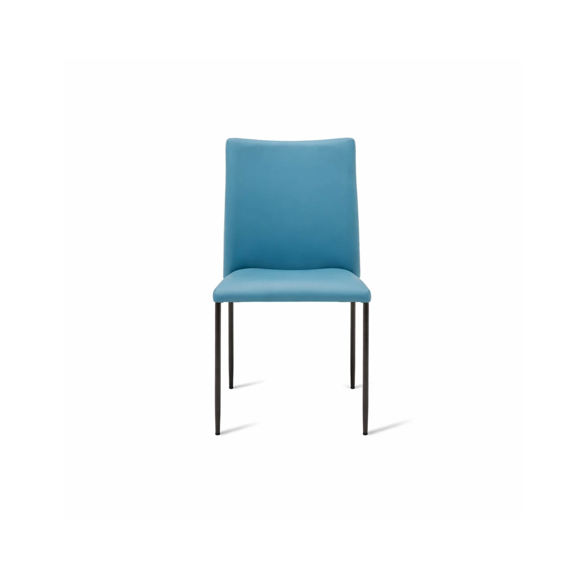 Beatrix Banquet Chair