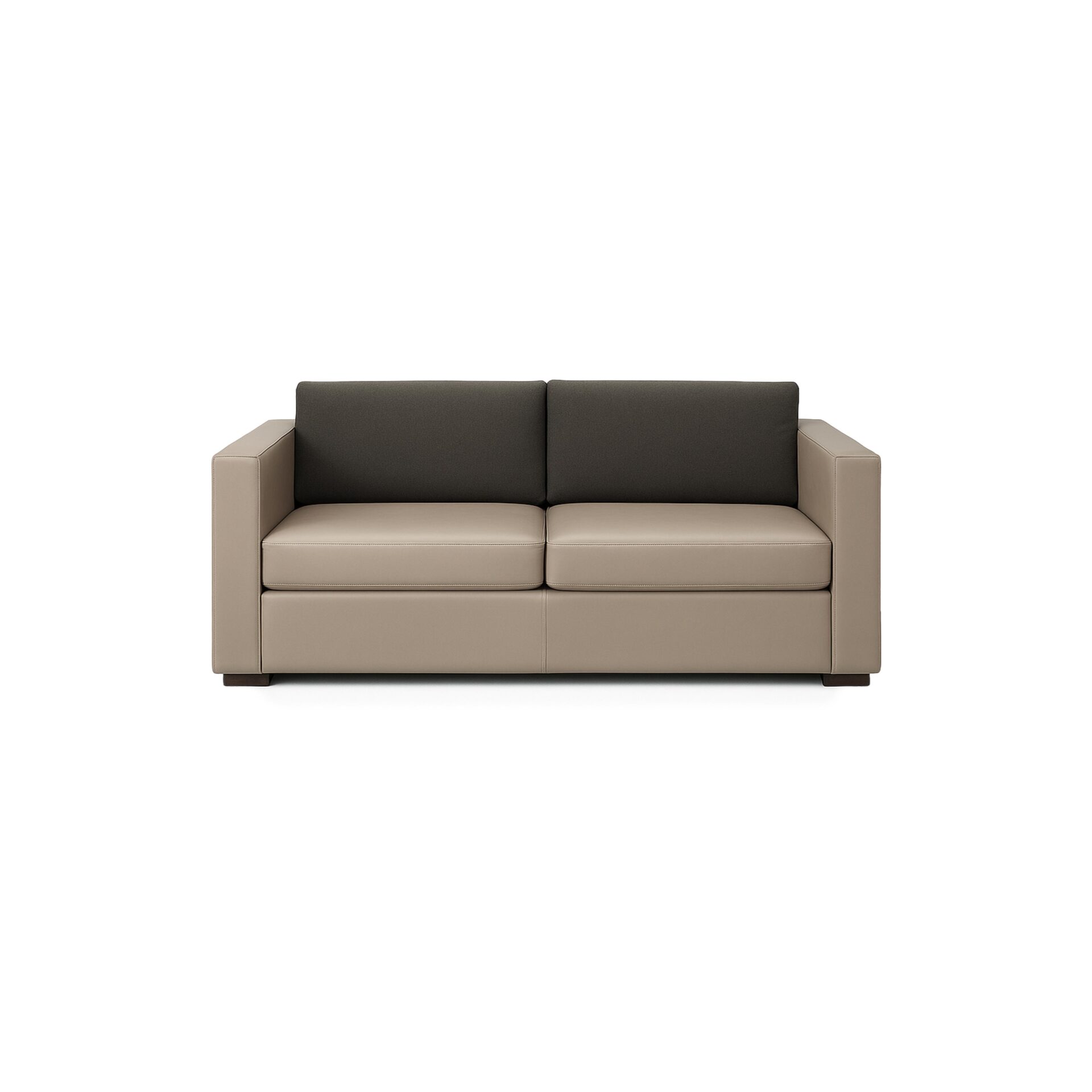 Millard Sofa Bed