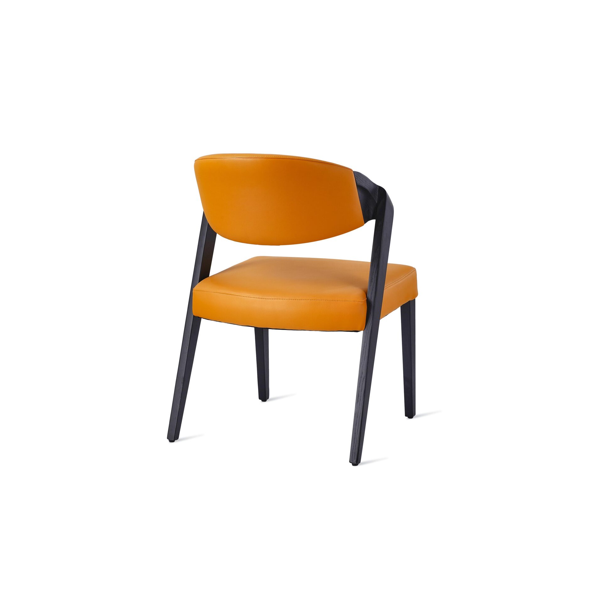 Argon Side Chair
