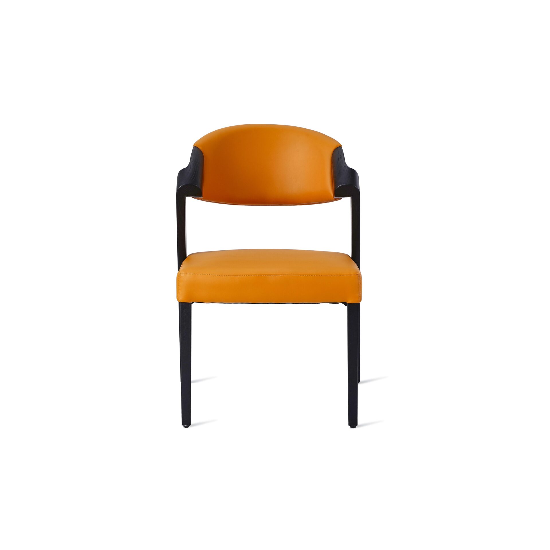 Argon Side Chair