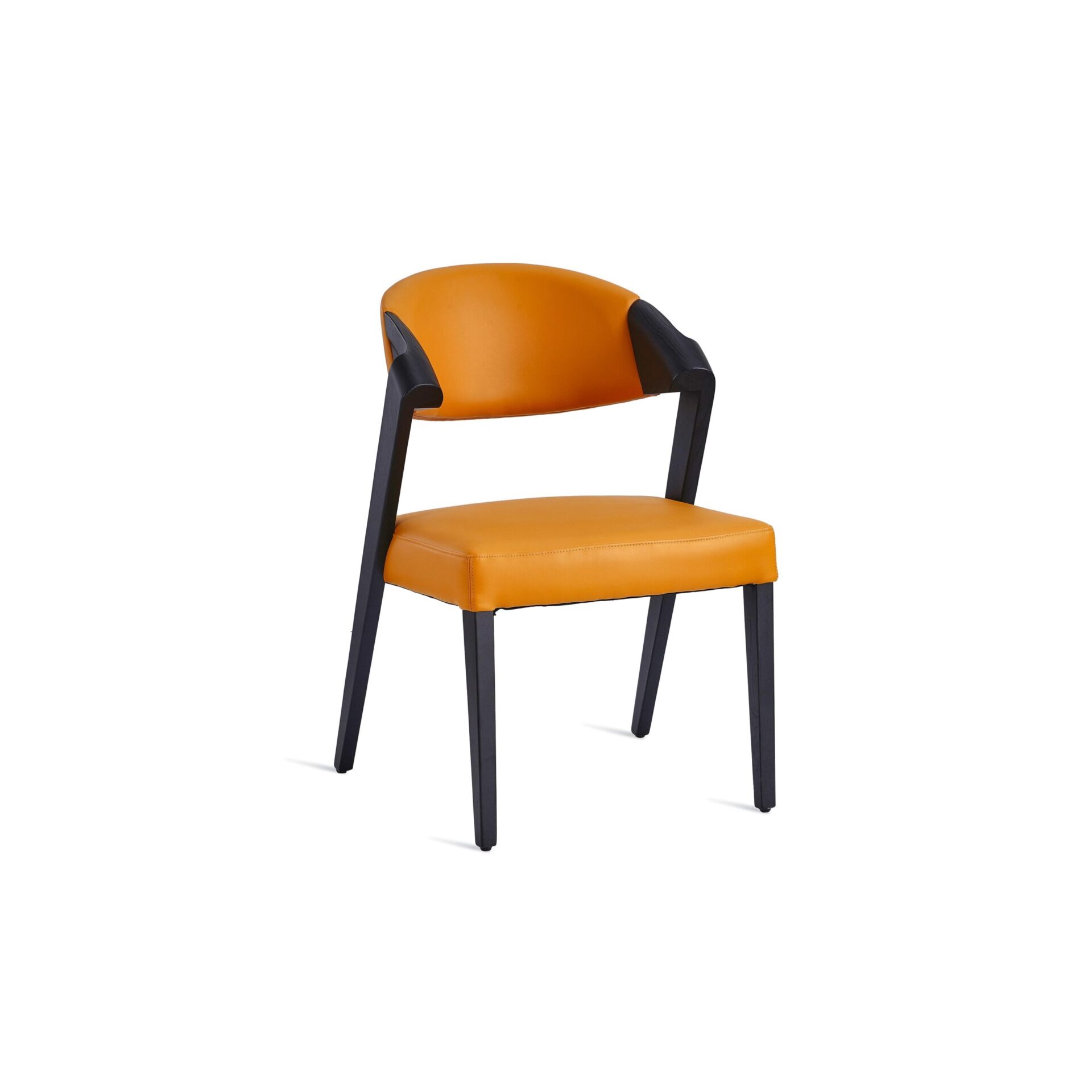 Argon Side Chair