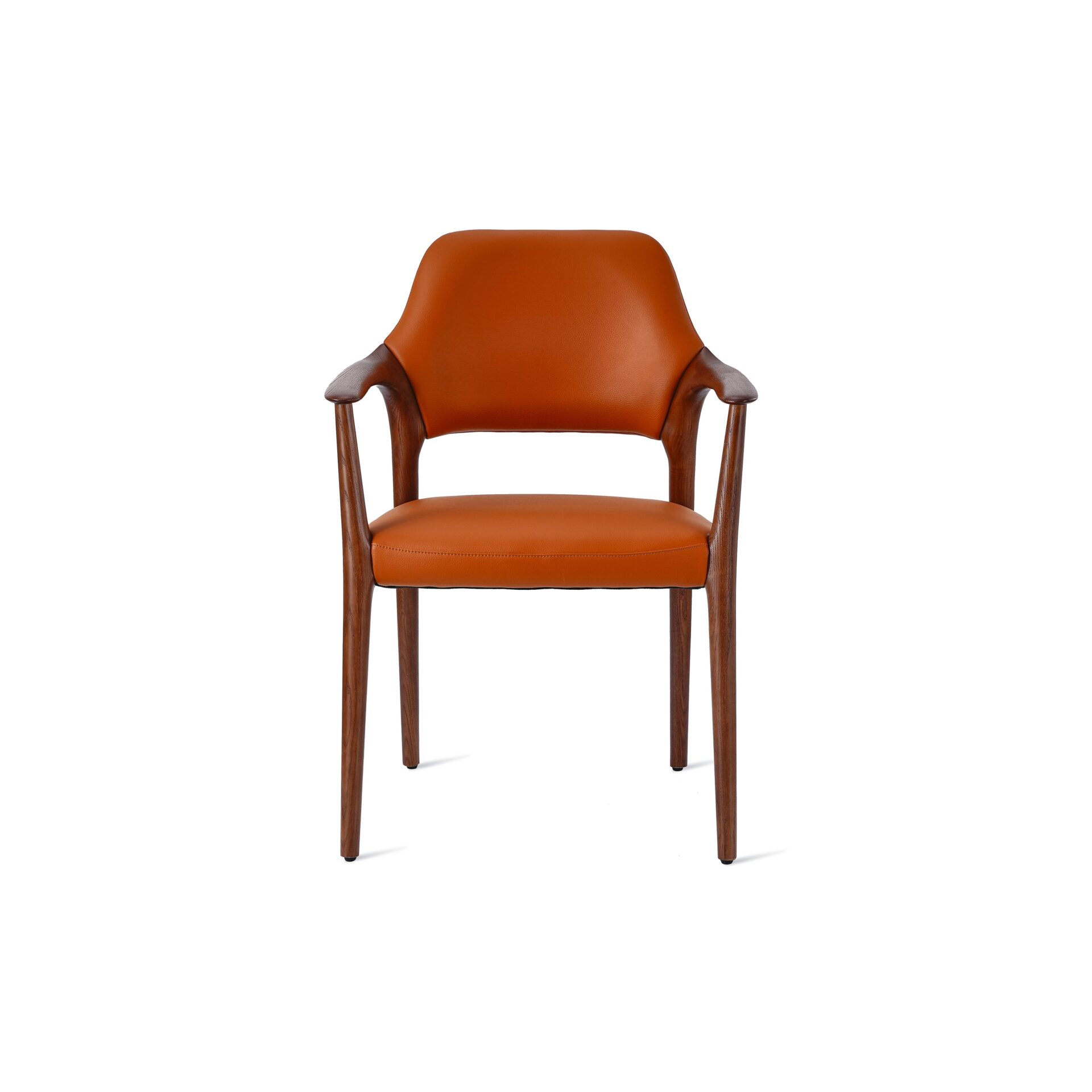 Swan Armchair