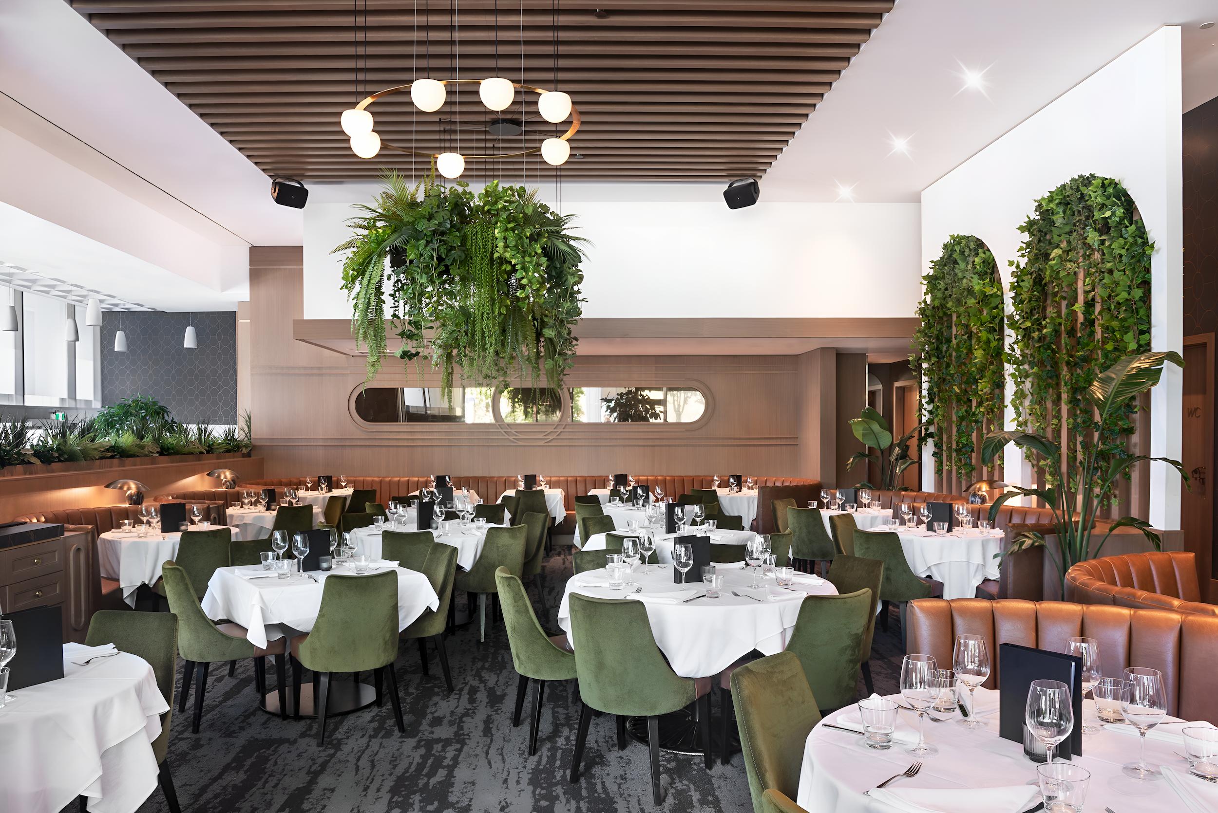 RILEY’S FISH & STEAK